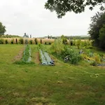 Couette-café Ferme Du Grand Breton 3*