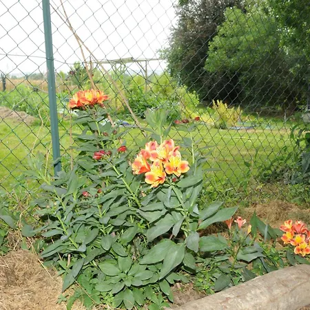 Bed and breakfast Ferme Du Grand Breton