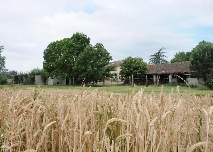 Ferme Du Grand Breton 3* Beaumont-de-Lomagne