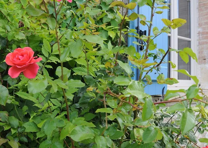 Ferme Du Grand Breton Beaumont-de-Lomagne