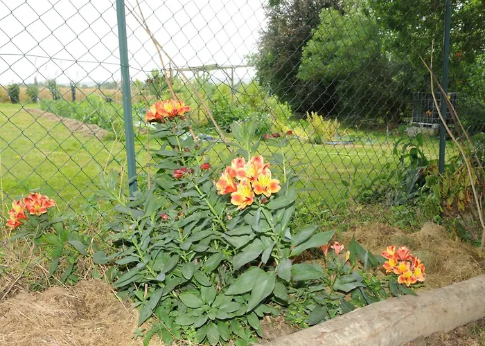 Bed and breakfast Ferme Du Grand Breton